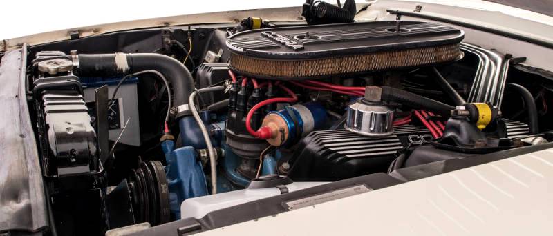 GLOBAL INTEREST EXPECTED FOR UNMOLESTED SHELBY MUSTANG AT