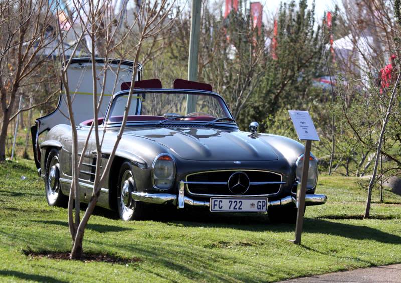 Spring Day  Steyn City South Africa 2019