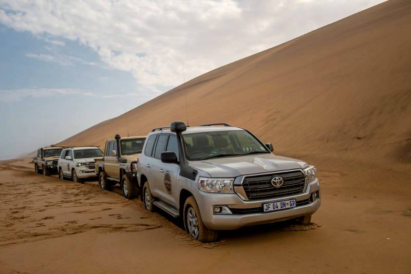 A Celebration of Land Cruiser