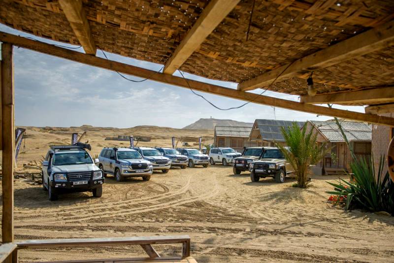 A Celebration of Land Cruiser