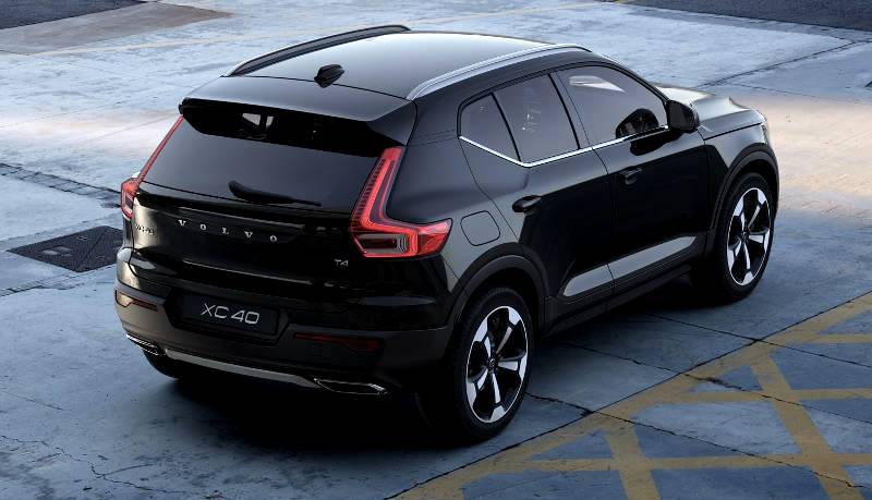 Beast’s Baby Brother breaks cover!