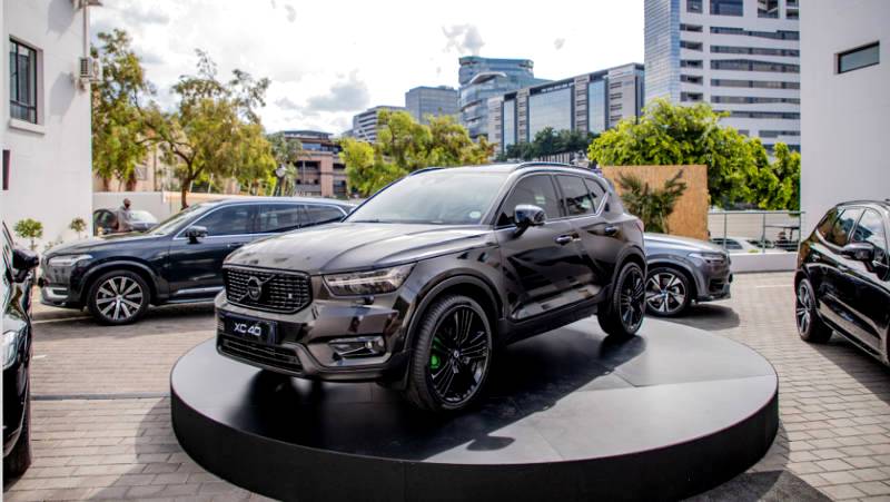 Beast’s Baby Brother breaks cover!