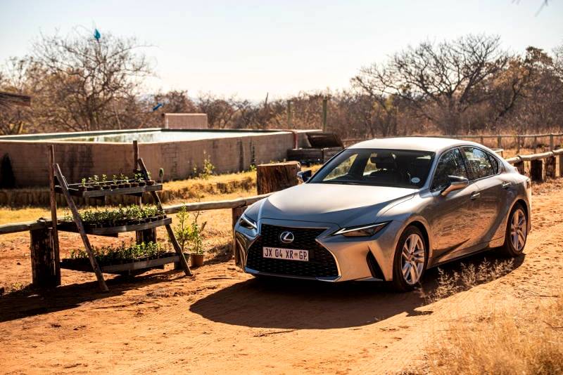 Lexus planting thousands of Spekboom on its road towards carbon neutrality