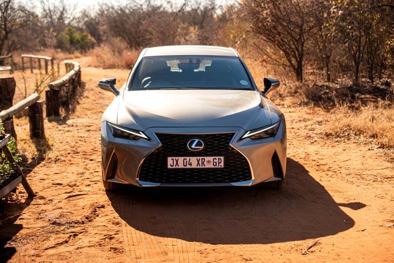 Lexus planting thousands of Spekboom on its road towards carbon neutrality