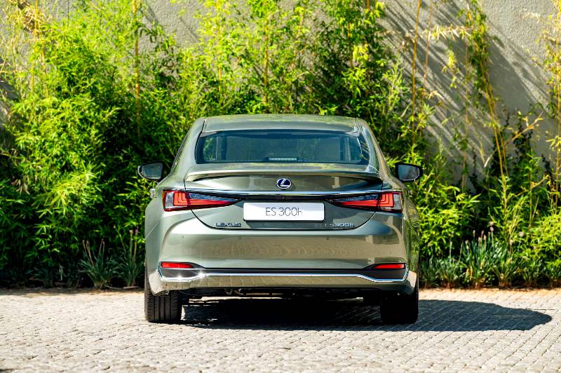 WOOLWORTHS RESTAURANT AWARDS