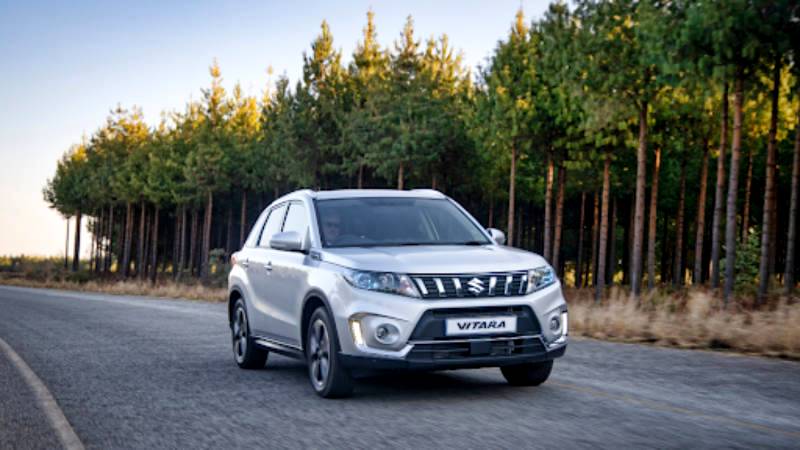 Road trip destinations with your furry friends