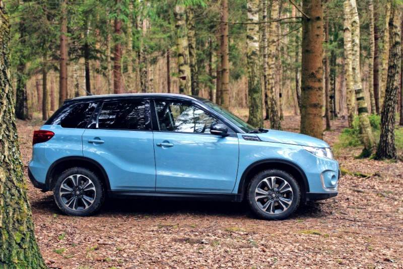 Road trip destinations with your furry friends