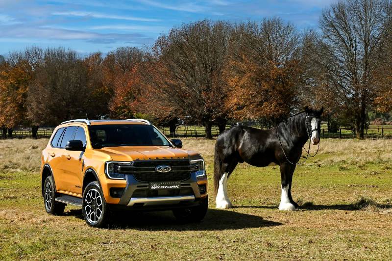 New Wildtrak, XLT and 4x2 Models