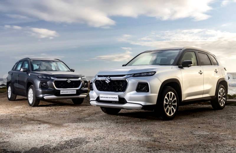 Choosing the Right Suzuki for Your Summer Adventure