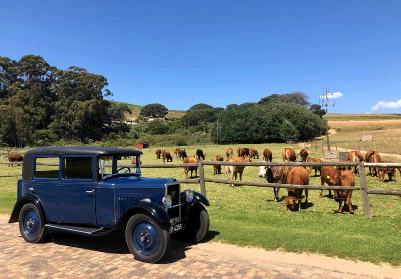 A French lion in Africa