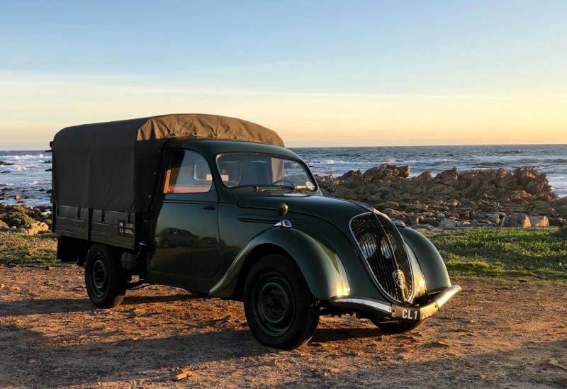 A French lion in Africa