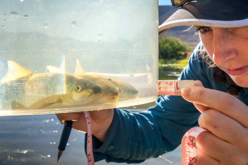 Driving Conservation – FWF and Ford Ranger Support Water Sustainability Projects on World Water Day