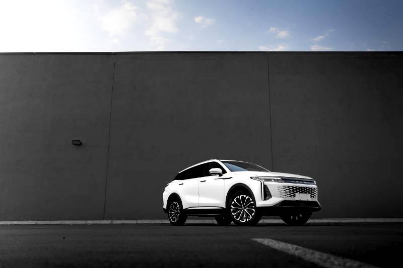 Fastest-growing Brand O&J helps Chery crack Fortune Global 500