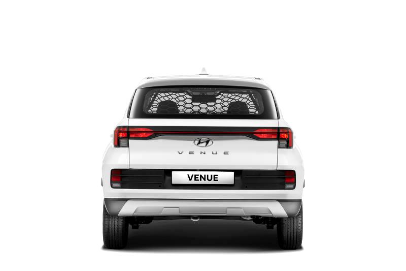 Hyundai’s Cargo range have become formidable LCV competitors