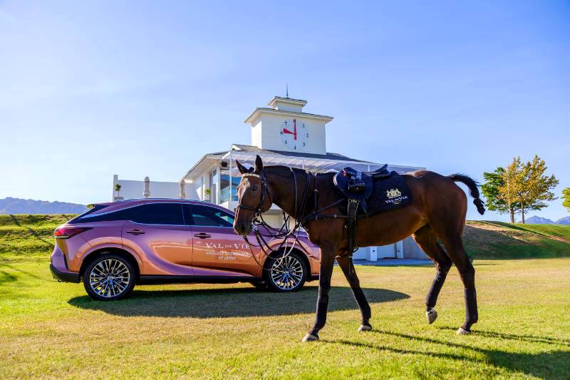 Lexus South Africa champions crucial cancer research as vehicle sponsor for Pink Polo