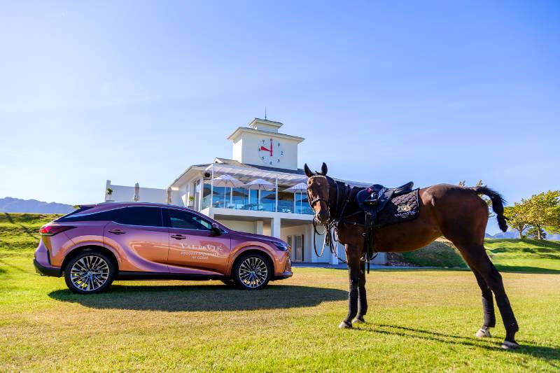 Lexus South Africa champions crucial cancer research as vehicle sponsor for Pink Polo